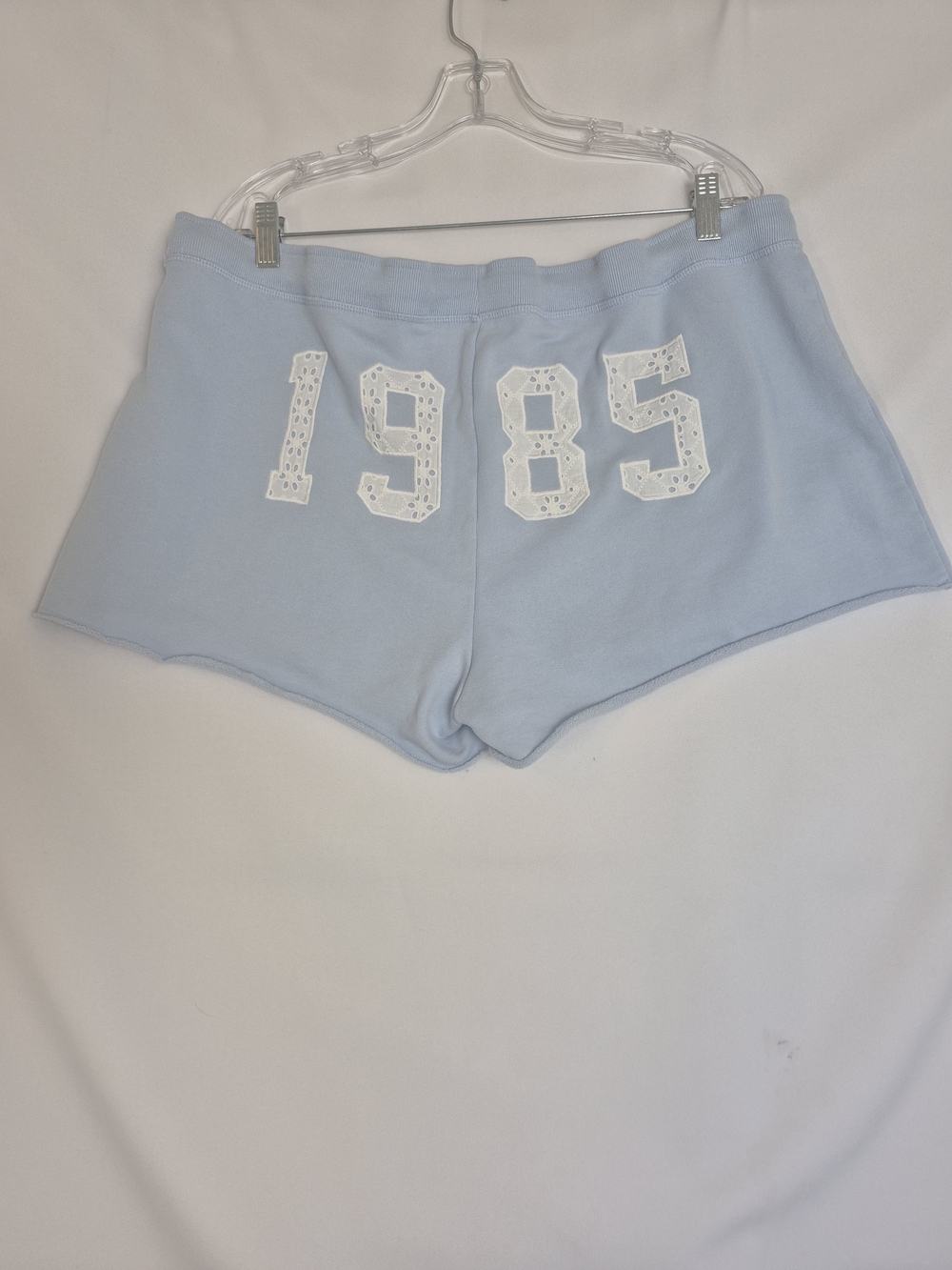 Hollister Pale Blue 1985 Appliqué Athletic Lounge Shorts